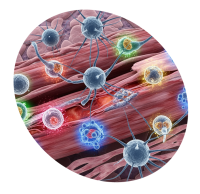 terapie-rigenerative